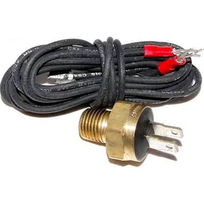 Picture of 140F CO AUTO Limit Switch For Raypak Part# 600893B