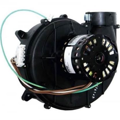 Picture of 120V Induced Draft Blwr w/Gskt For Rheem-Ruud Part# 70-24033-01
