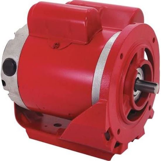 Picture of 115/230v1Ph 1/2HP 1725RPM CW For Century Motors Part# C249