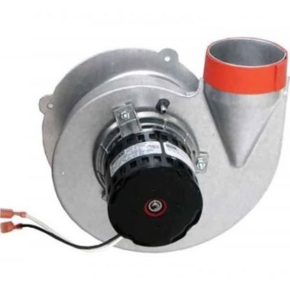 Picture of 120V Induced Draft Blwr W/Gskt For Rheem-Ruud Part# 70-101087-81