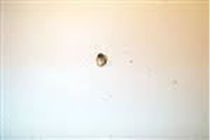 Picture of 1/4"BRASS COMP FITTING For Emerson Climate-White Rodgers Part# F69-0727