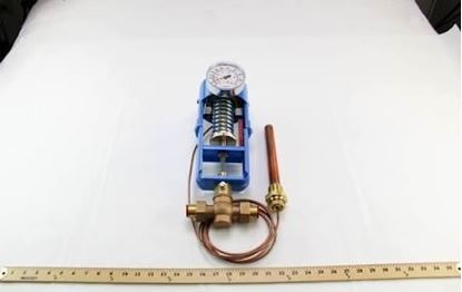 Picture of 1/2" HTG VLV,110/170F,1X9 For Powers Process Controls Part# 595CD050HC08DI05