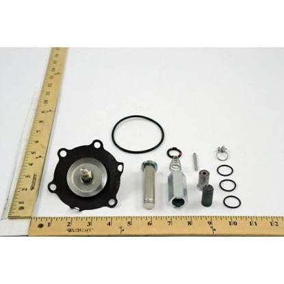 Picture of REBUILD KIT For ASCO Part# 306-899