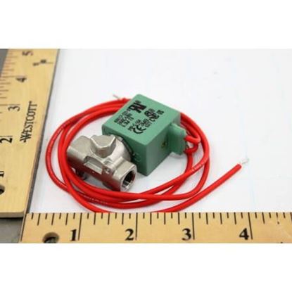 Picture of 1/8" N/C 0/180# SS 24V For ASCO Part# U8256A16V-24V