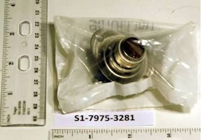 Picture of 90-110F AUTO Limit Switch For York Part# S1-7975-3281