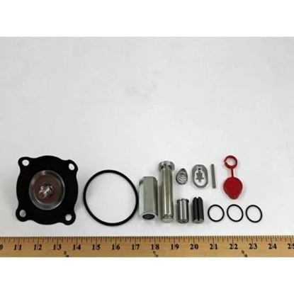 Picture of REBUILD KIT For ASCO Part# 302-339
