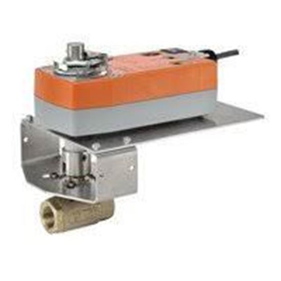 Picture of 3/4",2-WAY,30CV,S.S.,RED PORT For Belimo Part# B219VS