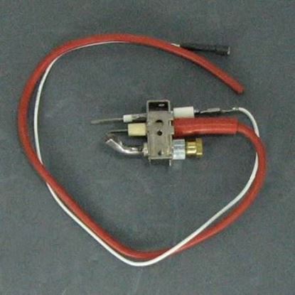 Picture of PILOT/IGN. ASSEMBLY For Carrier Part# LH31CM035