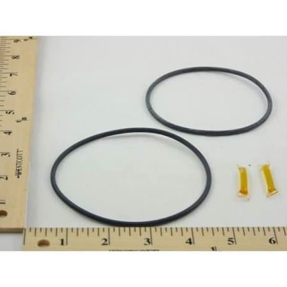 Picture of 2 ORINGS FOR V5097(LARGE BODY) For Honeywell Part# 4074EYL