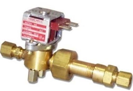 Picture of 24V Humidifier Valve/Strainer For Liebert Part# 136812P1S