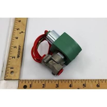 Picture of 1/4"N/C 0-36#AirWtr33#LtOil For ASCO Part# 8262H38