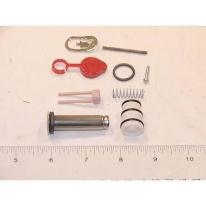 Picture of REBUILD KIT For ASCO Part# 304-323
