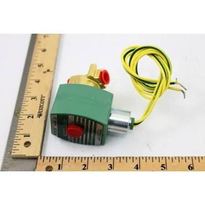 Picture of 1/4" N/C 0-65#Air63#WtrLtOil For ASCO Part# 8262H202-24VDC