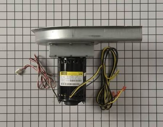 Picture of 460V Inducer Assembly For Carrier Part# 50DK406816