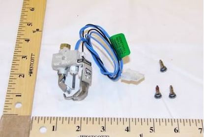 Picture of Pilot Ignitor Assembly For York Part# S1-025-32780-000
