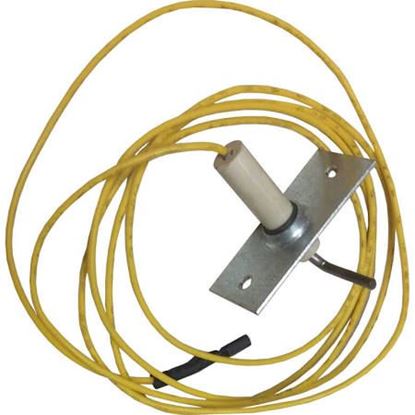 Picture of Flame Sensor with Wire For Carrier Part# 48DP500613