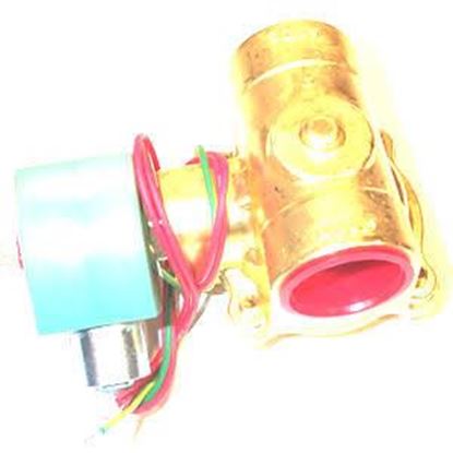 Picture of 1.25"N/C,5/50steam,5/150#H.WTR For ASCO Part# 8220G9