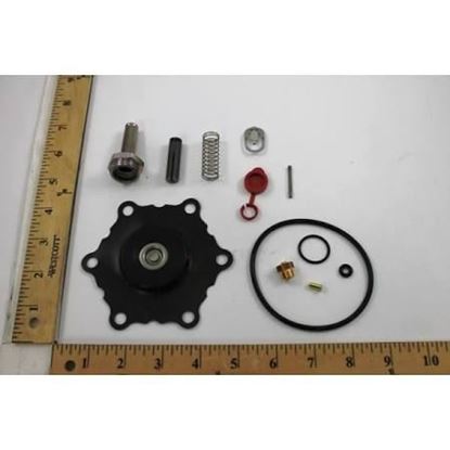 Picture of REBUILD KIT For ASCO Part# 302-284-E