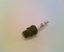 Picture of AUBURN IGNITOR For Auburn Part# E5-I-181
