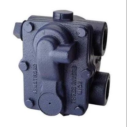 Picture of 3/4" F & T TRAP 75# For Armstrong International Part# 75A3
