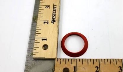 Picture of EXCH GASKET - 20 PACK  For Raypak Part# 007343F