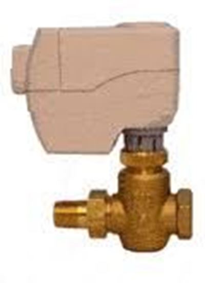 Picture of 2W N/O Brass FxUM 3/4" 6.3 For Siemens Building Technology Part# 259-02045