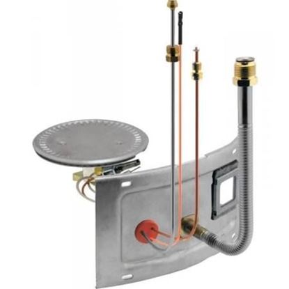 Picture of RG4 Burner Assembly Kit For Rheem-Ruud Part# AM39864-1