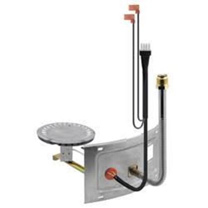 Picture of Complete Burner Asssembly For Rheem-Ruud Part# AM41808