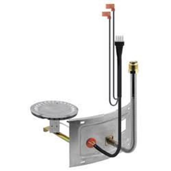 Picture of Complete Burner Asssembly For Rheem-Ruud Part# AM41808