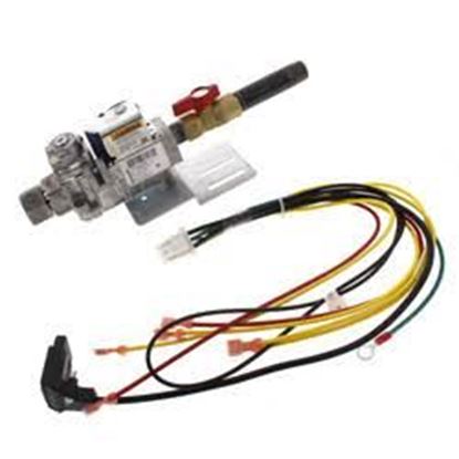 Picture of NegativePressureGasValve For Weil McLain Part# 382-200-410