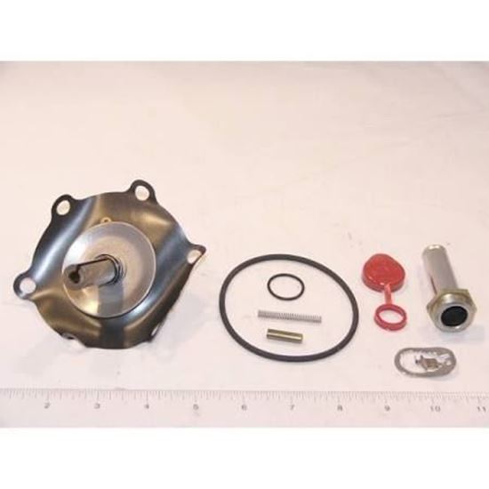 Picture of REBUILD KIT For ASCO Part# 302-286-V