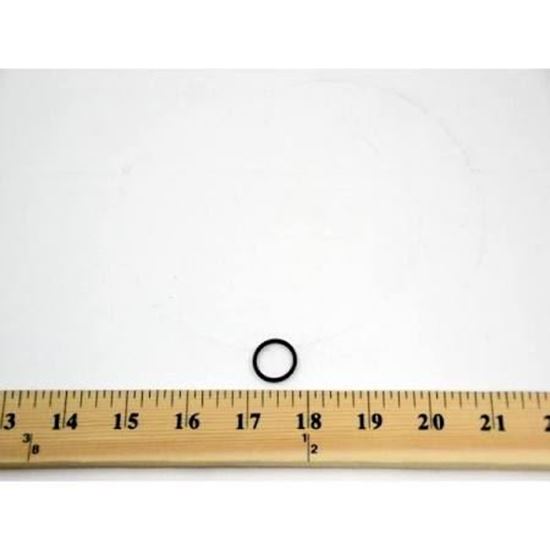 Picture of O-RING For Carrier Part# KK71EW016