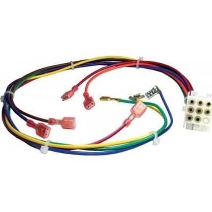 Picture of 9Pin To 9Terminal Harness For Rheem-Ruud Part# AS-61706-09