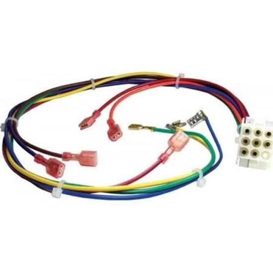 Picture of 9Pin To 9Terminal Harness For Rheem-Ruud Part# AS-61706-09
