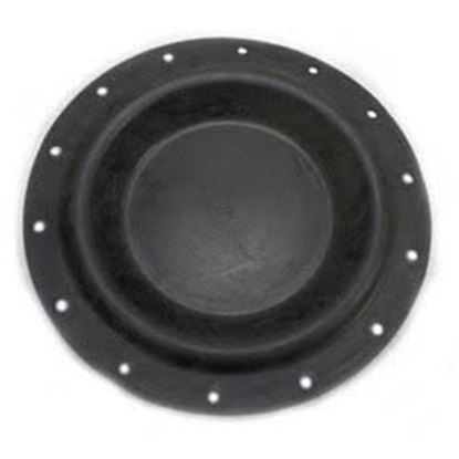Picture of Diaphragm for 5R 12" Dia. For Johnson Controls Part# V-4710-603