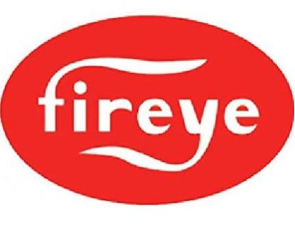 Picture of DISPLAY W/ 8FT CABLE NEMA4 KIT For Fireye Part# 129-178-8