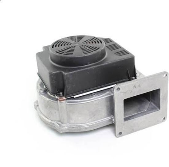Picture of Blower Assembly For Weil McLain Part# 383-600-045