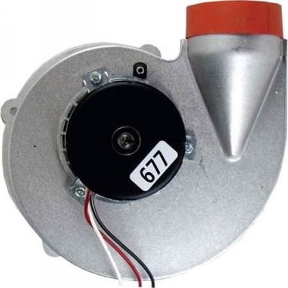 Picture of 120V Induced Draft Blwr W/Gskt For Rheem-Ruud Part# 70-101888-02