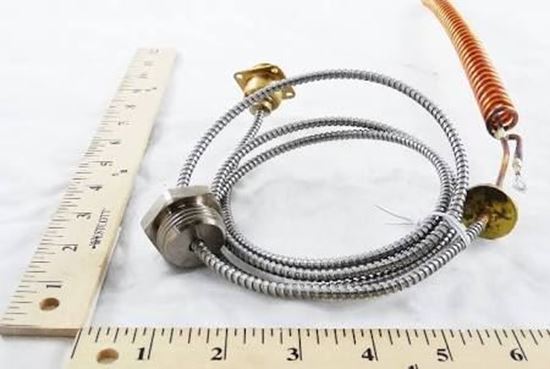 Picture of THERMAL ELEMENT FOR TK For Schneider Electric (Barber Colman) Part# DYDK-191