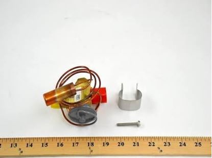 Picture of 52# R-22 2Ton TXV; 30"Cap For York Part# S1-025-31988-000