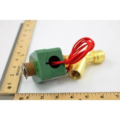 Picture of 1/2" 120V SOLENOID VALVE For ASCO Part# DX803045-13813