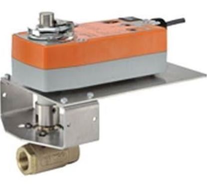 Picture of 3/4" 2w 30cv 24vPropSR Steam For Belimo Part# B219VS+NFX24-MFTX1