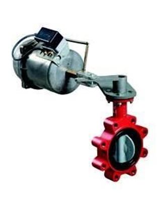 Picture of 3" 2wy BtflyVlv 267cv For Johnson Controls Part# VFN-030HB-001N