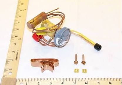 Picture of TXV EXPANSION VALVE For Carrier Part# EA36YD037