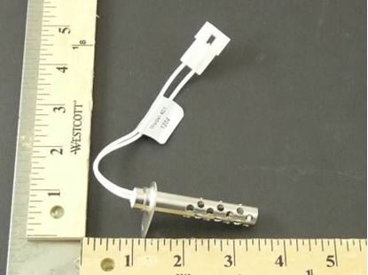 Picture of IGNITOR, HSI For Detroit Radiant Part# TP-1250