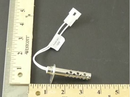 Picture of IGNITOR, HSI For Detroit Radiant Part# TP-1250