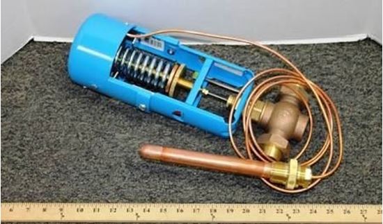 Picture of 3/4",110/170,9"CAP,NO INDICATN For Powers Process Controls Part# 595ST075HC08DN05