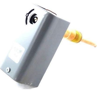 Picture of SPDT,30/180,6-24 ADJ DIF,.290B For Johnson Controls Part# A19ABC-39