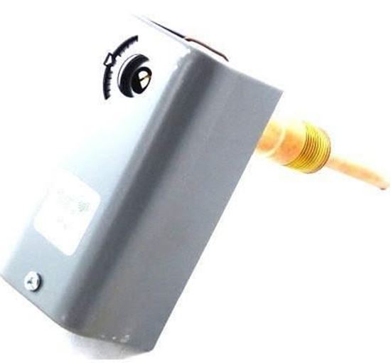 Picture of SPDT,30/180,6-24 ADJ DIF,.290B For Johnson Controls Part# A19ABC-39