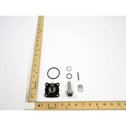 Picture of REBUILD KIT For ASCO Part# 308-694